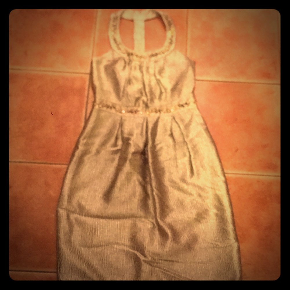 Gorgeous Laundry by Shelli Segal dress